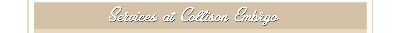 Services at Collison Embryo